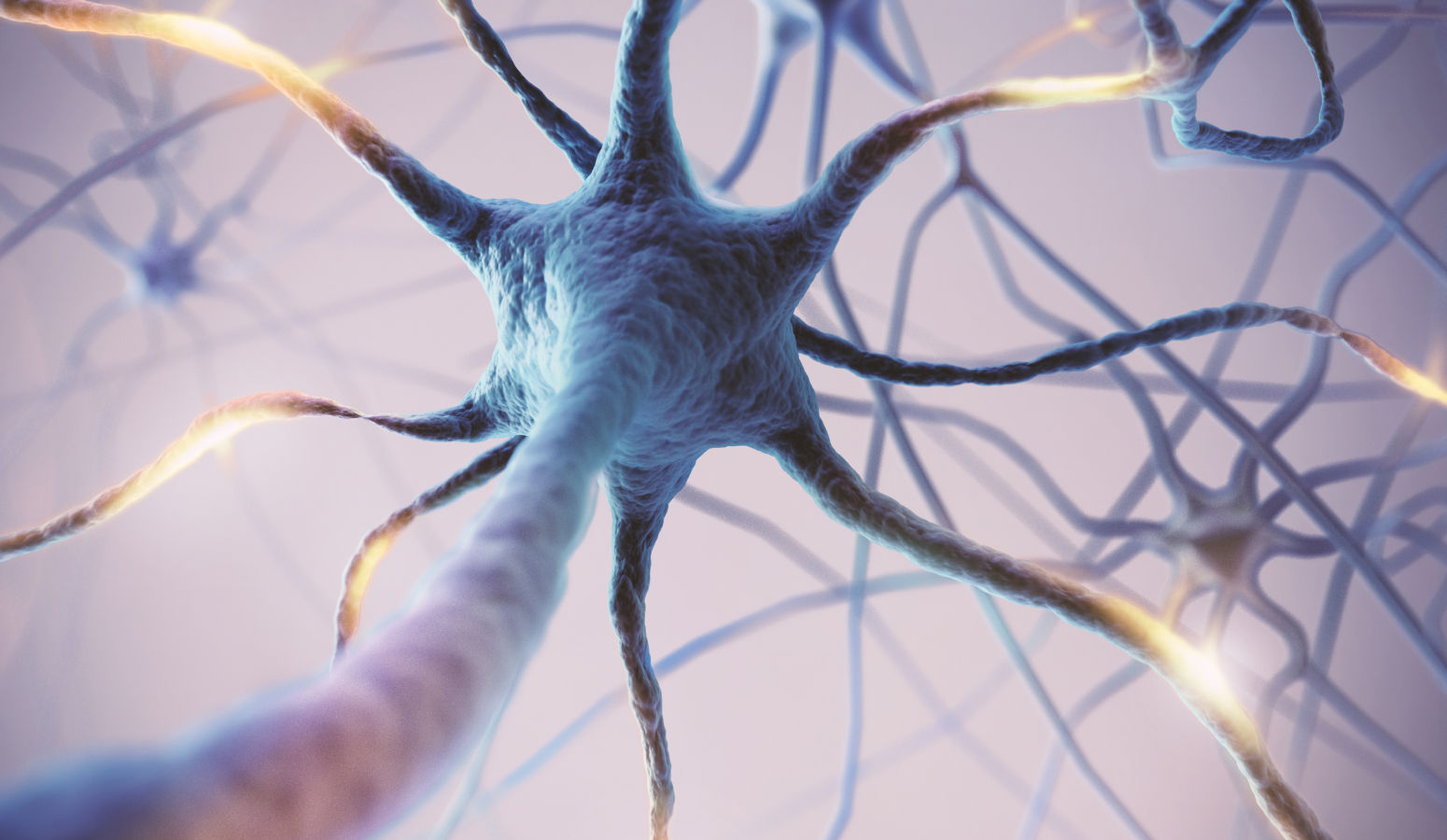 호르몬 상징 이미지