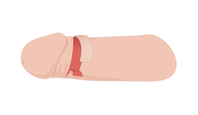 슬리브 일러스트