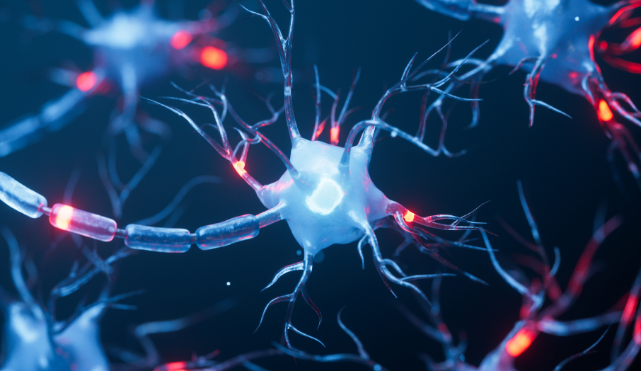 요역동학검사 상징 이미지