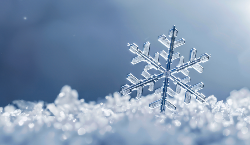 눈송이